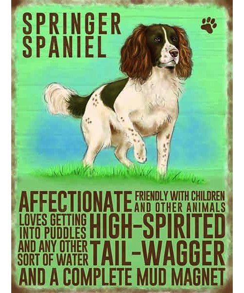 Border Collie Vintage Style Retro Metal Wall Sign Dog Pet Lovers Great Gift